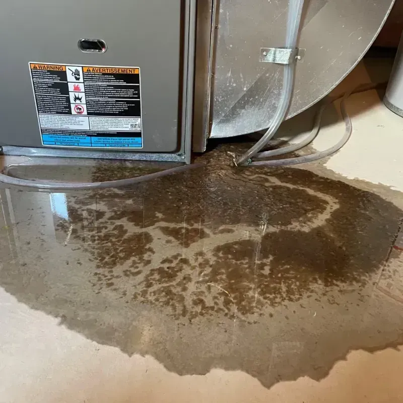 Appliance Leak Cleanup in Dalton Gardens, ID